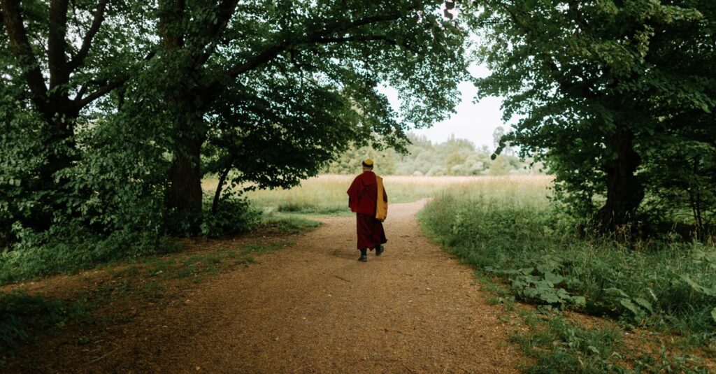 Walking Meditation: How to Practise Mindfulness on a Walk